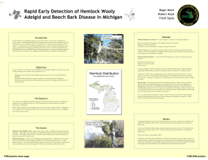 Rapid Early Detection of Hemlock Wooly Roger Mech Robert Heyd