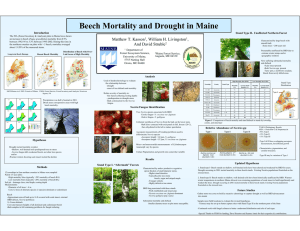 Beech Mortality and Drought in Maine Matthew T. Kasson ,