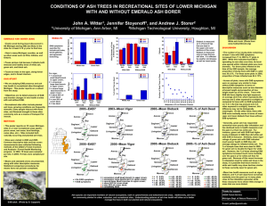 CONDITIONS OF ASH TREES IN RECREATIONAL SITES OF LOWER MICHIGAN