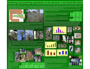 Monitoring and predicting populations of red oak borer in the...