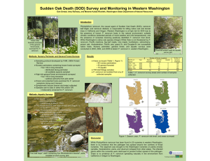 Sudden Oak Death (SOD) Survey and Monitoring in Western Washington