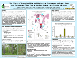 The Effects of Prescribed Fire and Mechanical Treatments on Insect... and Pathogens of Red Pine at Muskrat Lakes, Luce County,...