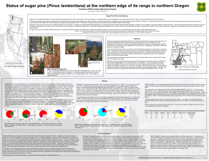 Pinus lambertiana Funded by FHM Evaluation Monitoring Program Sugar Pine (Pinus lambertiana)