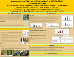 Assessment and Etiology of Hickory Decline (NC-EM-07-01) Preliminary Results