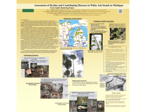 Assessment of Decline and Contributing Diseases in White Ash Sta