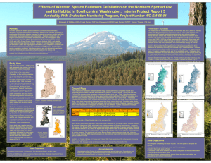 Effects of Western Spruce Budworm Defoliation on the Northern Spotted... and Its Habitat in Southcentral Washington:  Interim Project Report...