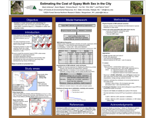 Estimating the Cost of Gypsy Moth Sex in the City