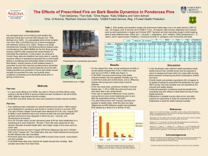 The Effects of Prescribed Fire on Bark Beetle Dynamics in...