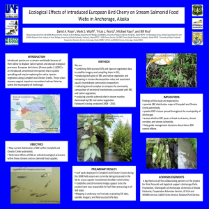 Ecological Effects of Introduced European Bird Cherry on Stream Salmonid... Webs in Anchorage, Alaska