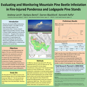 Evaluating and Monitoring Mountain Pine Beetle Infestation
