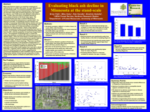 Evaluating black ash decline in Minnesota at the stand-scale
