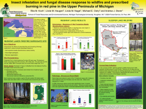 Insect infestation and fungal disease response to wildfire and prescribed