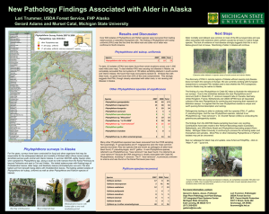 New Pathology Findings Associated with Alder in Alaska