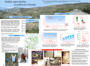 Sudden aspen decline in southwest Colorado