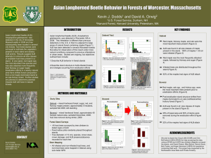 Asian Longhorned Beetle Behavior in Forests of Worcester, Massachusetts RESULTS