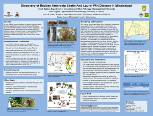 Discovery of Redbay Ambrosia Beetle And Laurel Wilt Disease in Mississippi