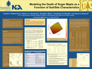 Modeling the Death of Sugar Maple as a