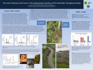 The role of disease and insects in the widespread mortality...
