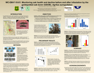 WC-EM-F-10-01: Monitoring oak health and decline before and after infestation... Agrilus auroguttatus
