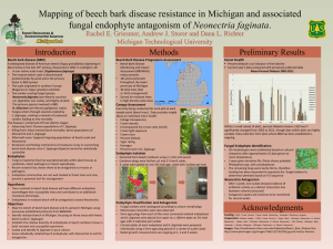 Mapping of beech bark disease resistance in Michigan and associated