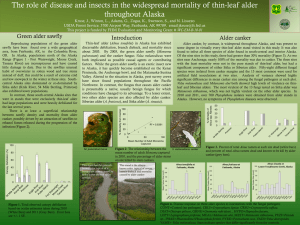 The role of disease and insects in the widespread mortality... throughout Alaska