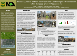 Monitoring native- and non-native bark and woodboring insect colonization