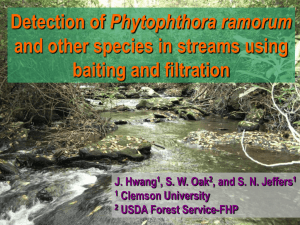 Phytophthora ramorum and other species in streams using baiting and filtration J. Hwang