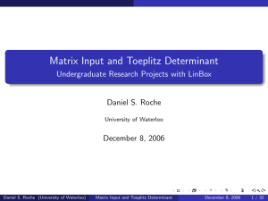 Matrix Input and Toeplitz Determinant Undergraduate Research Projects with LinBox