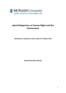 Special Rapporteur on Human Rights and the Environment