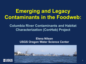 Emerging and Legacy Contaminants in the Foodweb:  Columbia River Contaminants and Habitat