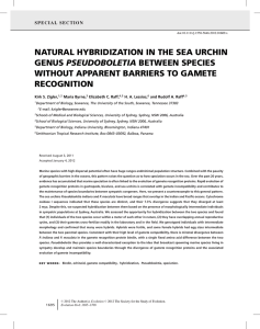 NATURAL HYBRIDIZATION IN THE SEA URCHIN PSEUDOBOLETIA WITHOUT APPARENT BARRIERS TO GAMETE RECOGNITION