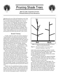Pruning Shade Trees P Kim D. Coder, Extension Forester