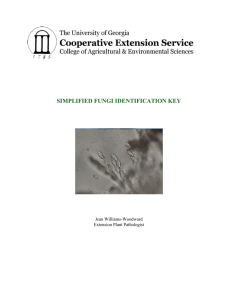 SIMPLIFIED FUNGI IDENTIFICATION KEY Jean Williams-Woodward Extension Plant Pathologist