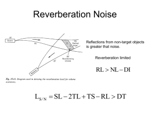 Reverberation Noise   