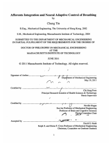 Afferents  Integration and Neural Adaptive  Control of Breathing