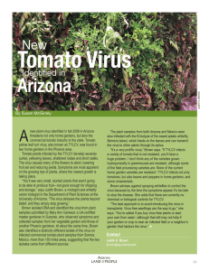 Tomato Virus Arizona  A