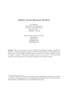 Infinite Genus Riemann Surfaces