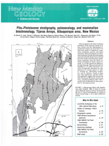 paleoecology, Plio-Pleistocene mammalian stratigraphy,
