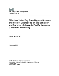 Effects of John Day Dam Bypass Screens