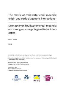 The matrix of cold-water coral mounds: origin and early-diagenetic interactions