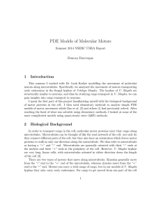 PDE Models of Molecular Motors 1 Introduction Summer 2014 NSERC USRA Report