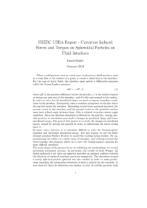 NSERC USRA Report - Curvature Induced Fluid Interfaces Daniel Baker