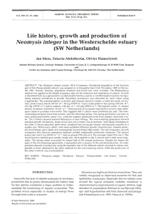 l Neomysis integer Life history, growth and production of in the Westerschelde estuary