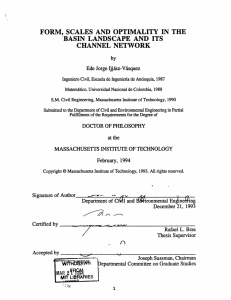 FORM,  SCALES  AND  OPTIMALITY  IN ... BASIN  LANDSCAPE  AND  ITS CHANNEL  NETWORK