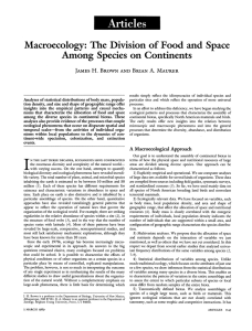 Macroecology: The Division of
