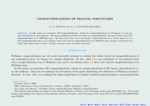 COMPACTIFICATIONS OF FRACTAL STRUCTURES