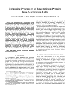 Enhancing Production of Recombinant Proteins from Mammalian Cells