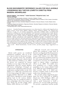 BLOOD BIOCHEMISTRY REFERENCE VALUES FOR WILD JUVENILE MADEIRA ARCHIPELAGO