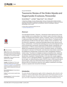 Taxonomic Review of the Orders Mysida and Stygiomysida (Crustacea, Peracarida)