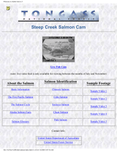 Steep Creek Salmon Cam Salmon Identification About the Salmon Sample Footage